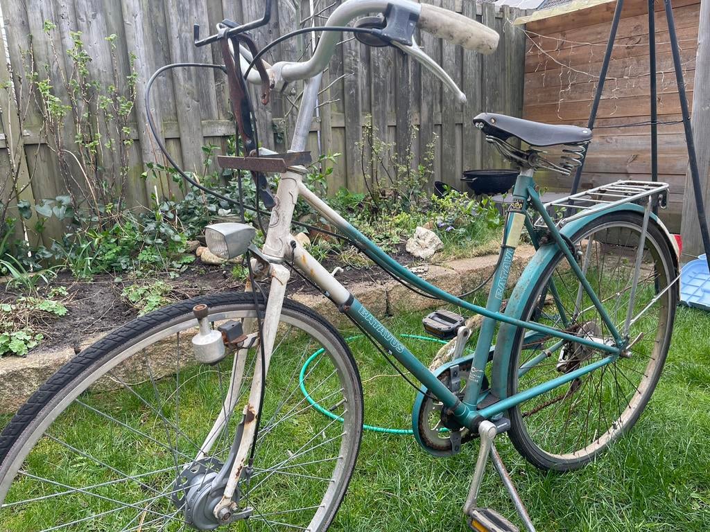 Batavus champion vintage fiets, Ophalen, Gebruikt, Batavus, Minder dan 10 versnellingen