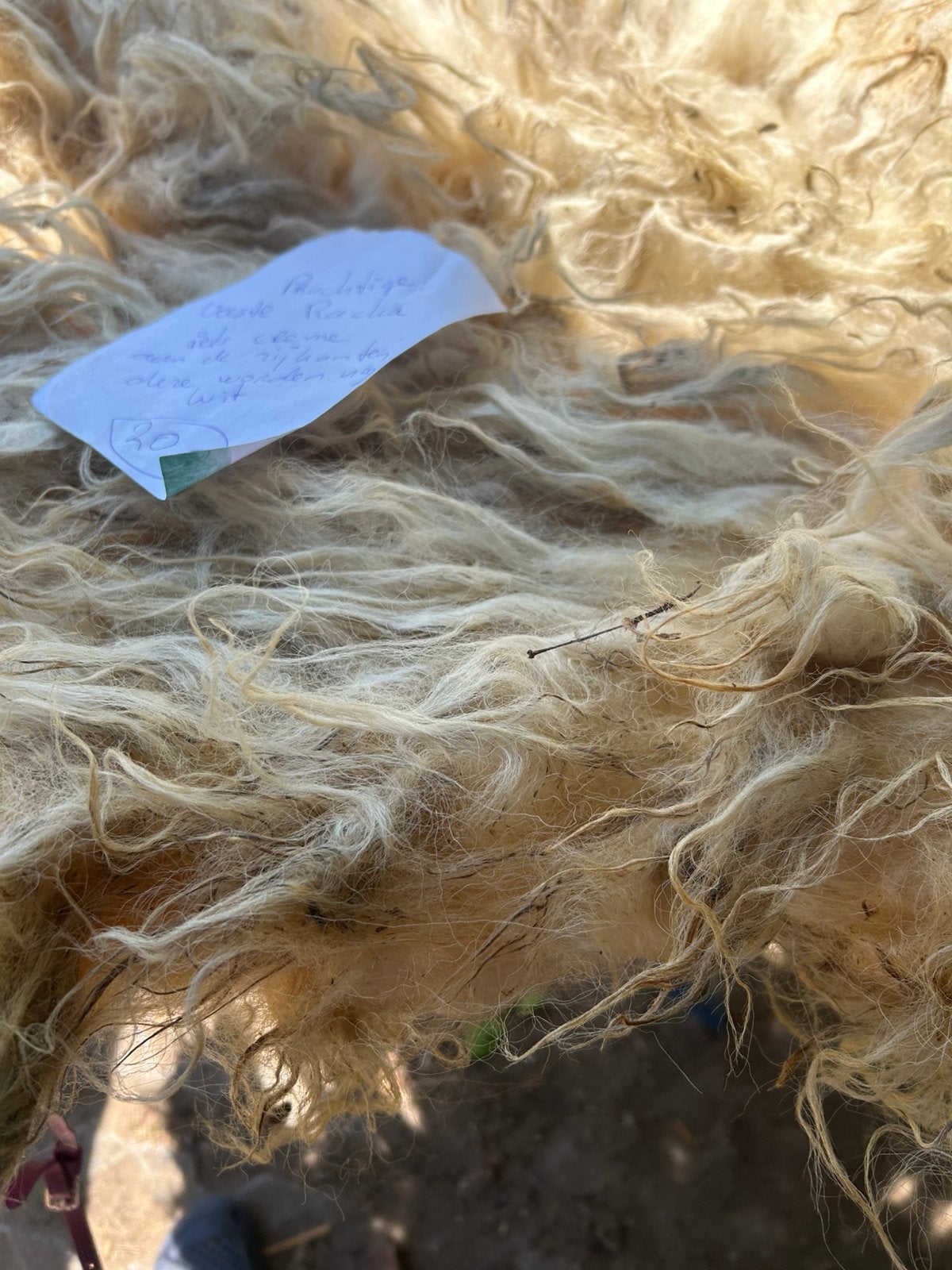 Vaste Racka vacht om te vilten, Ophalen of Verzenden, Zo goed als nieuw, Overige typen