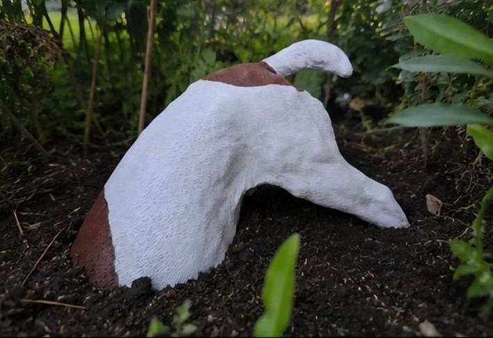 Beeld van een gravend hondje jack russel bruin wit, Ophalen, Nieuw, Kunststof