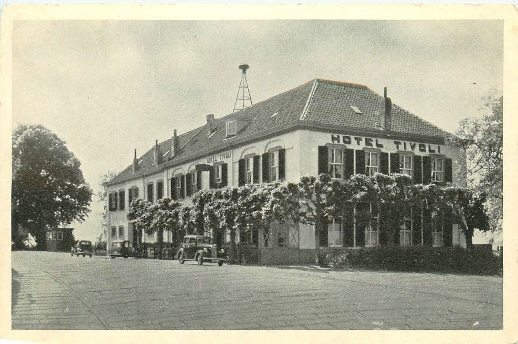 701-088-017 Zaltbommel Tivoli, Verzenden, Voor 1920, Gelderland
