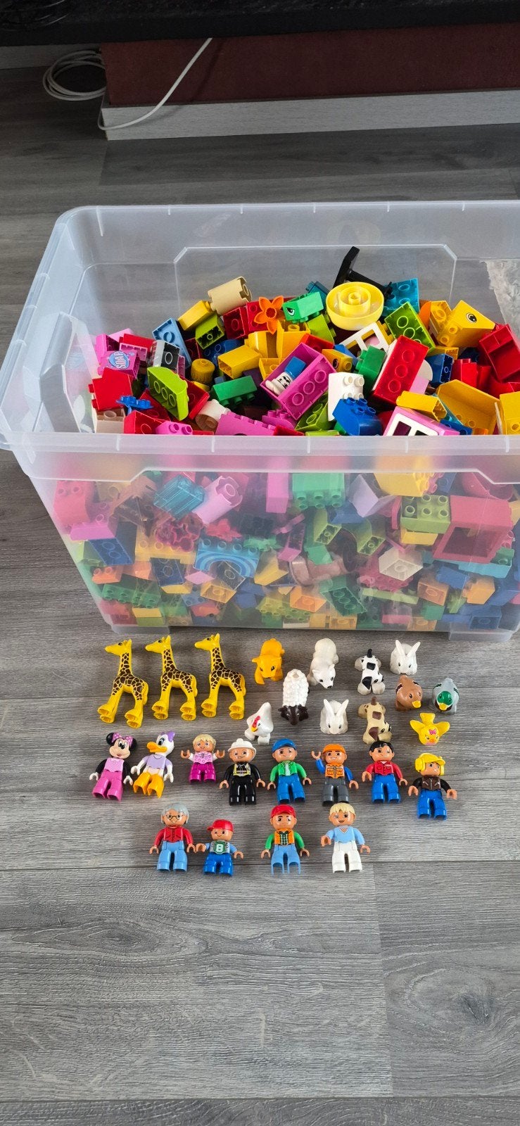 Grote partij LEGO Duplo met figuren en dieren, Ophalen, Inclusief minifiguren, Zo goed als nieuw, Duplo