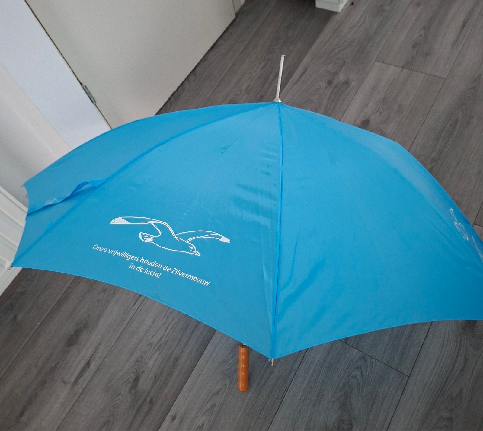Grote paraplu, Sieraden, Tassen en Uiterlijk, Paraplu's, Ophalen, Zo goed als nieuw, Blauw