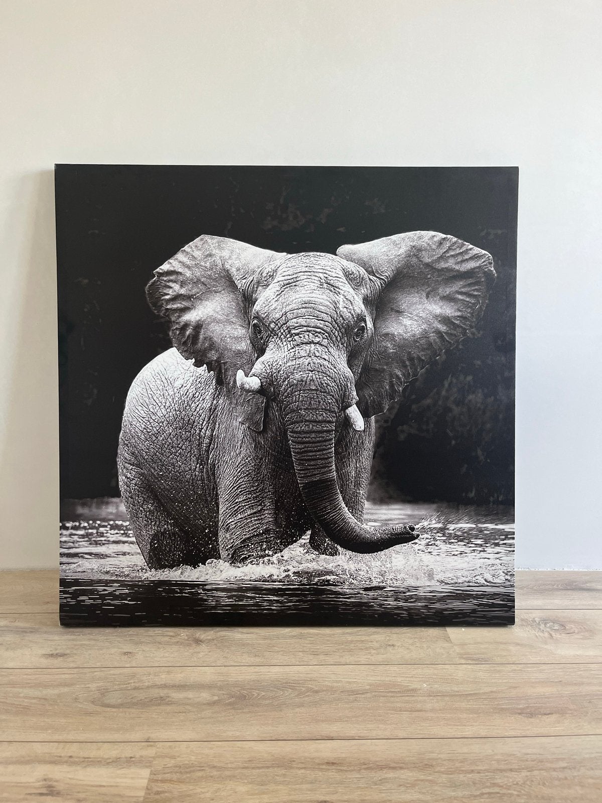 Canvas schilderij olifant zwart-wit 100x100 cm, Ophalen, 50 – 75, Zo goed als nieuw, Schilderij