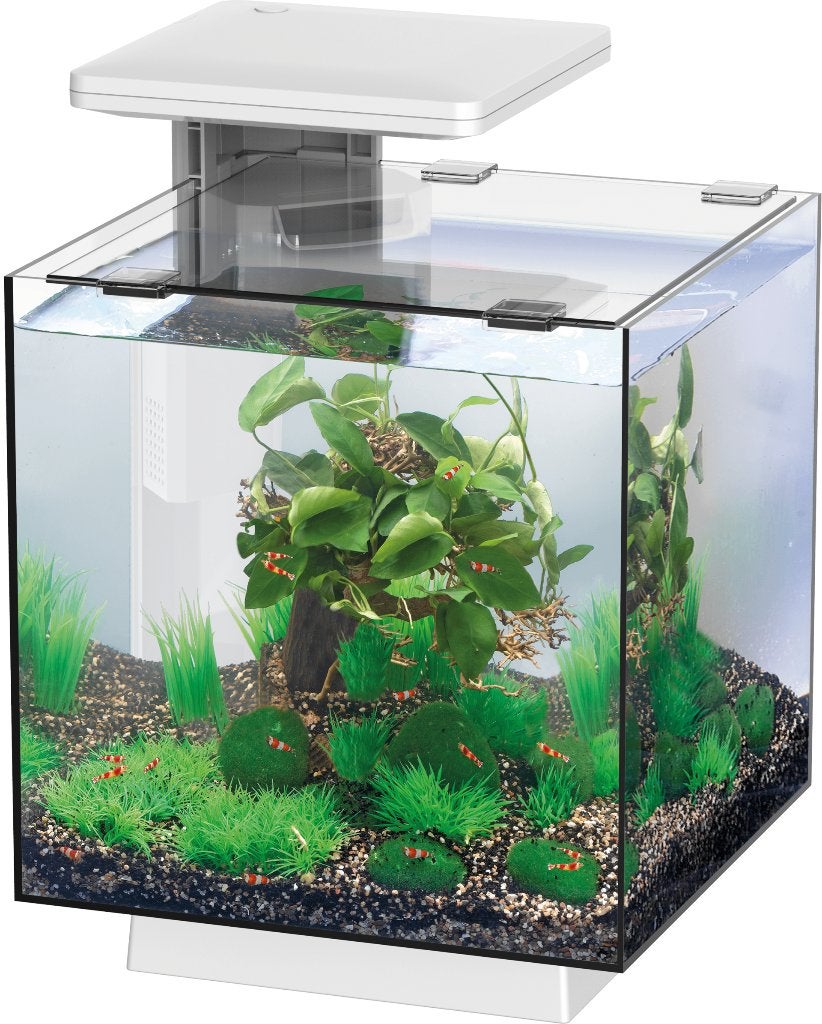 Superfish QubiQ Aquarium, Ophalen, Nieuw, Leeg aquarium, Superfish