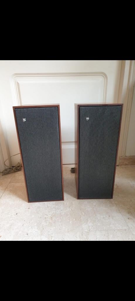 B&O Beovox 1000 luidsprekers, Audio, Tv en Foto, Luidsprekers, Ophalen
