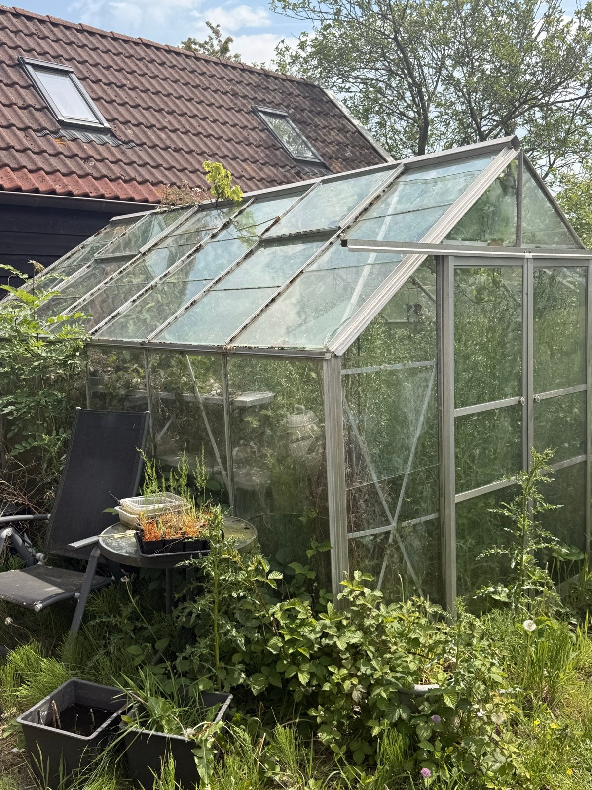 Gebruikte Kweekkas met Aluminium Frame en Glaspanelen, Ophalen, Gebruikt, Kweekkas, Glas