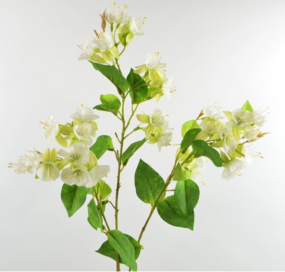 BLOEMEN TAK - KUNST - PAARS & WIT