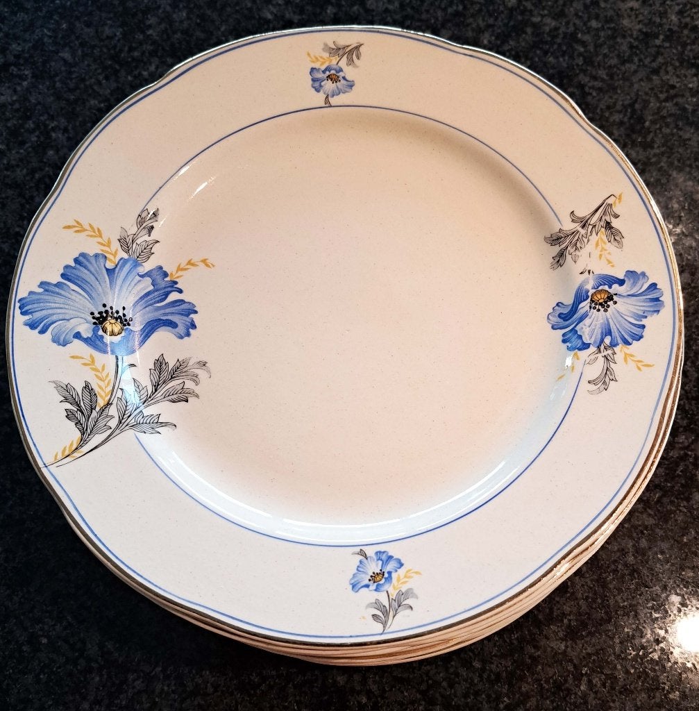6 handbeschilderde art nouveau borden Plateel Zuid-Holland, Ophalen of Verzenden