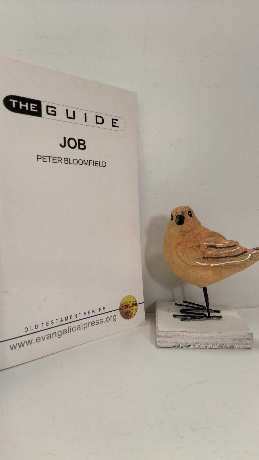 Bloomfield, Peter; Job (Serie: The Guide), Ophalen of Verzenden, Gelezen, Christendom | Protestants