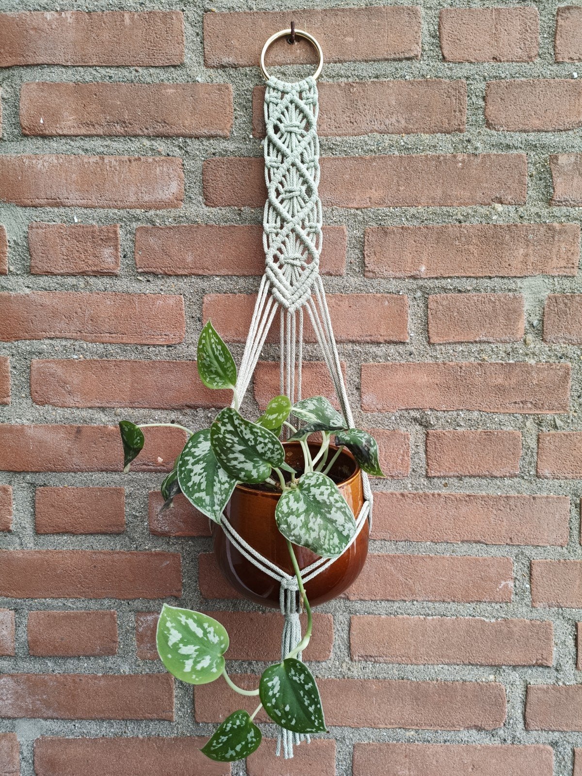 Macramé plantenhanger, Ophalen of Verzenden, Nieuw, Groen