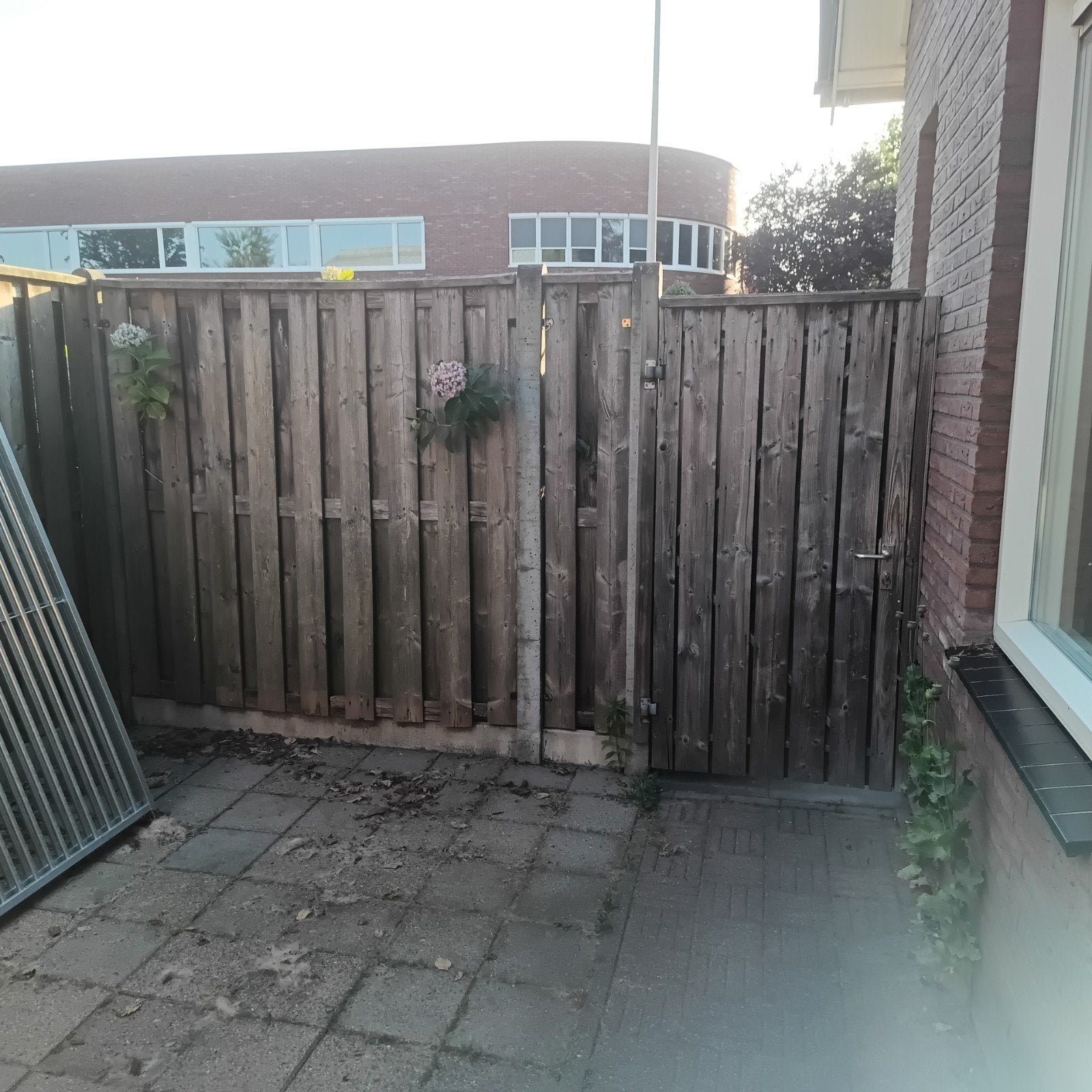 8 tuinschermen schuttingdelen + poort, Ophalen, Gebruikt, Hout