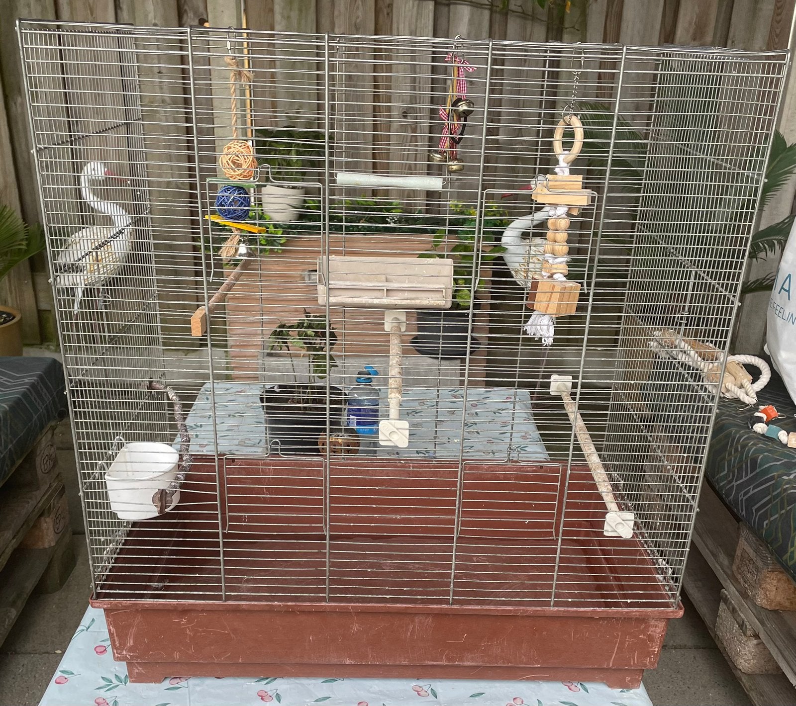 Mooi grote vogelkooi met toebehoren en spellen te koop, Ophalen, Gebruikt, Metaal, Vogelkooi