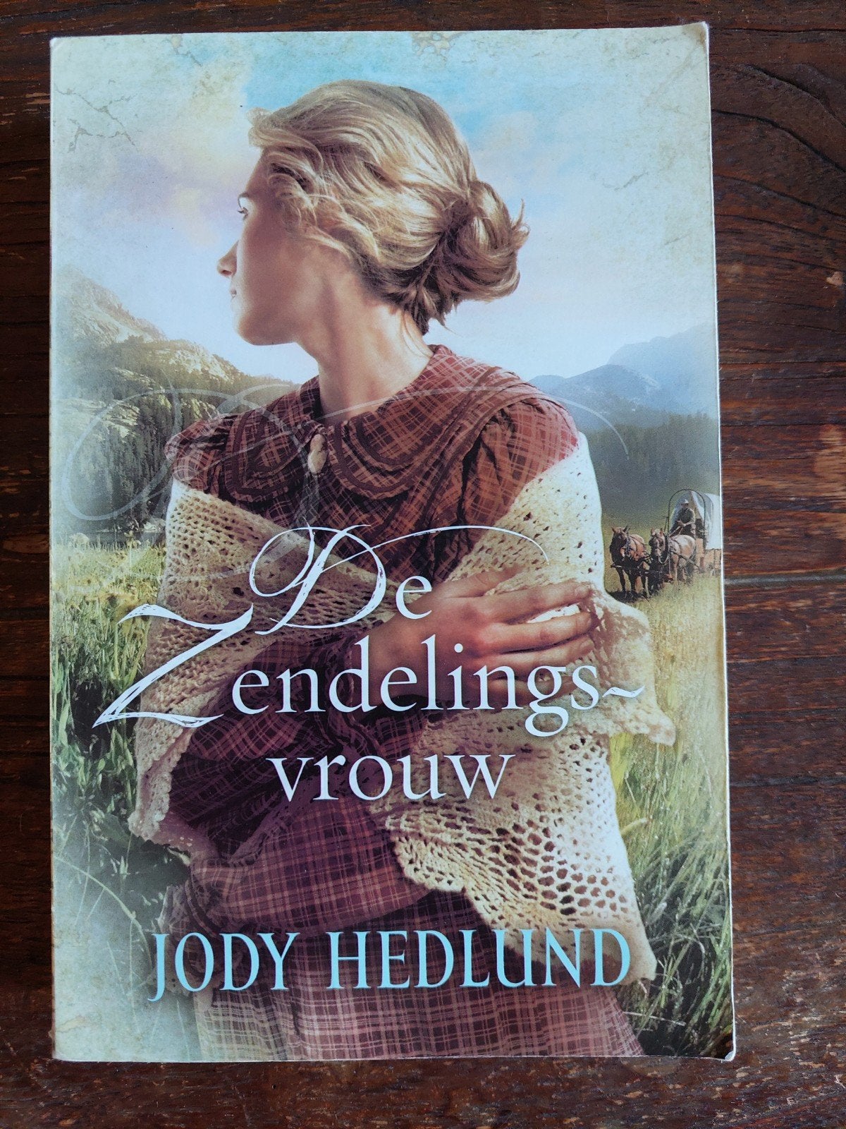 Jody Hedlund - De zendelingsvrouw (christelijk), Boeken, Ophalen of Verzenden, Gelezen, Jody Hedlund