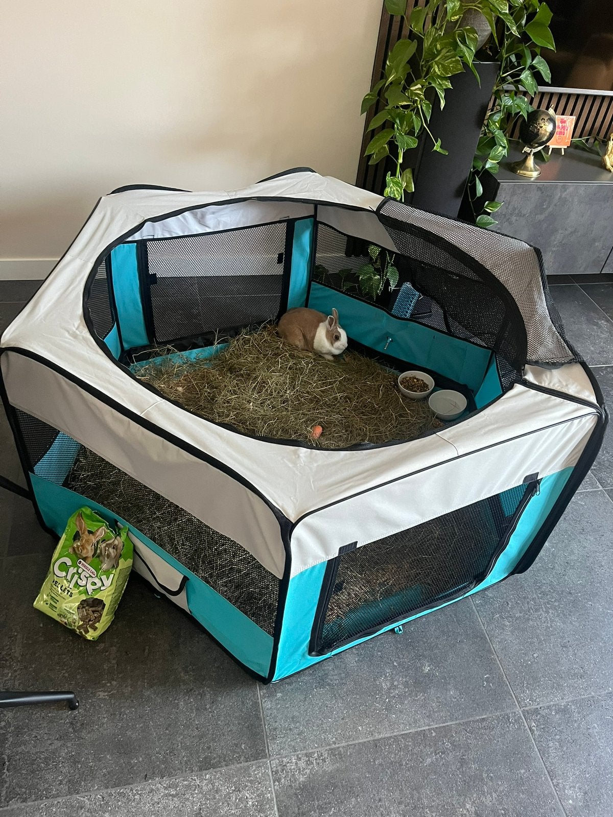 Konijnen hok / dierenverblijf / opvouwbare ren, 110 cm of meer, Ophalen of Verzenden, Zo goed als nieuw, Konijn