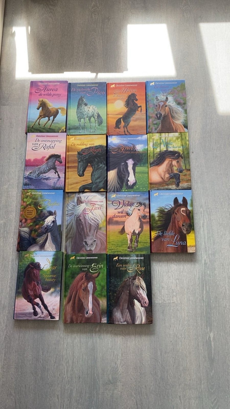 Christine Linneweever boeken serie compleet, Ophalen of Verzenden, Zo goed als nieuw, Fictie algemeen