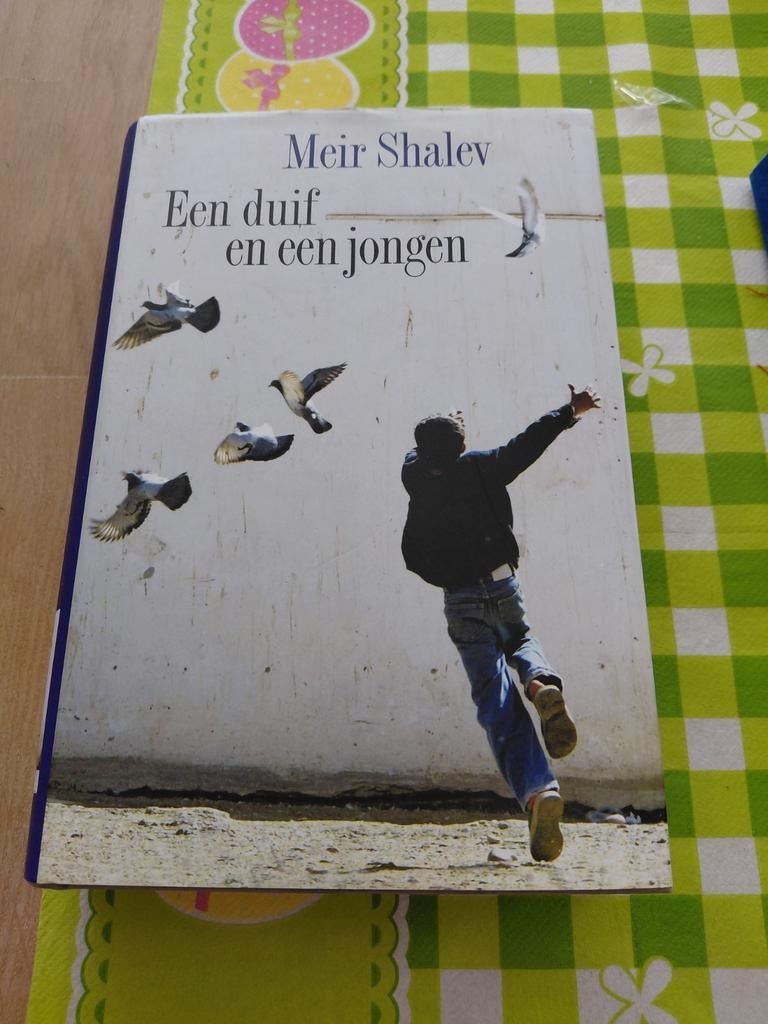 Een duif en een jongen - Meir Shalev, Ophalen of Verzenden, Zo goed als nieuw, Meir Shalev, Nederland