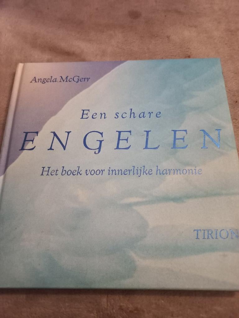 Een schare engelen - Angela McGerr, Ophalen of Verzenden, Zo goed als nieuw, Spiritualiteit algemeen, Achtergrond en Informatie