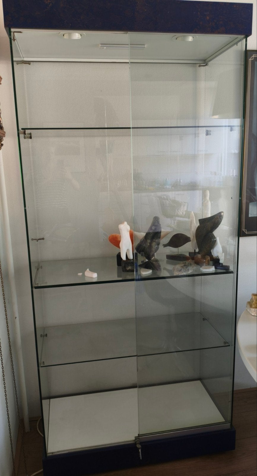 Glazen vitrinekast met verlichting, 203x92x44 cm, Ophalen, 200 cm of meer, 50 tot 100 cm, 25 tot 50 cm