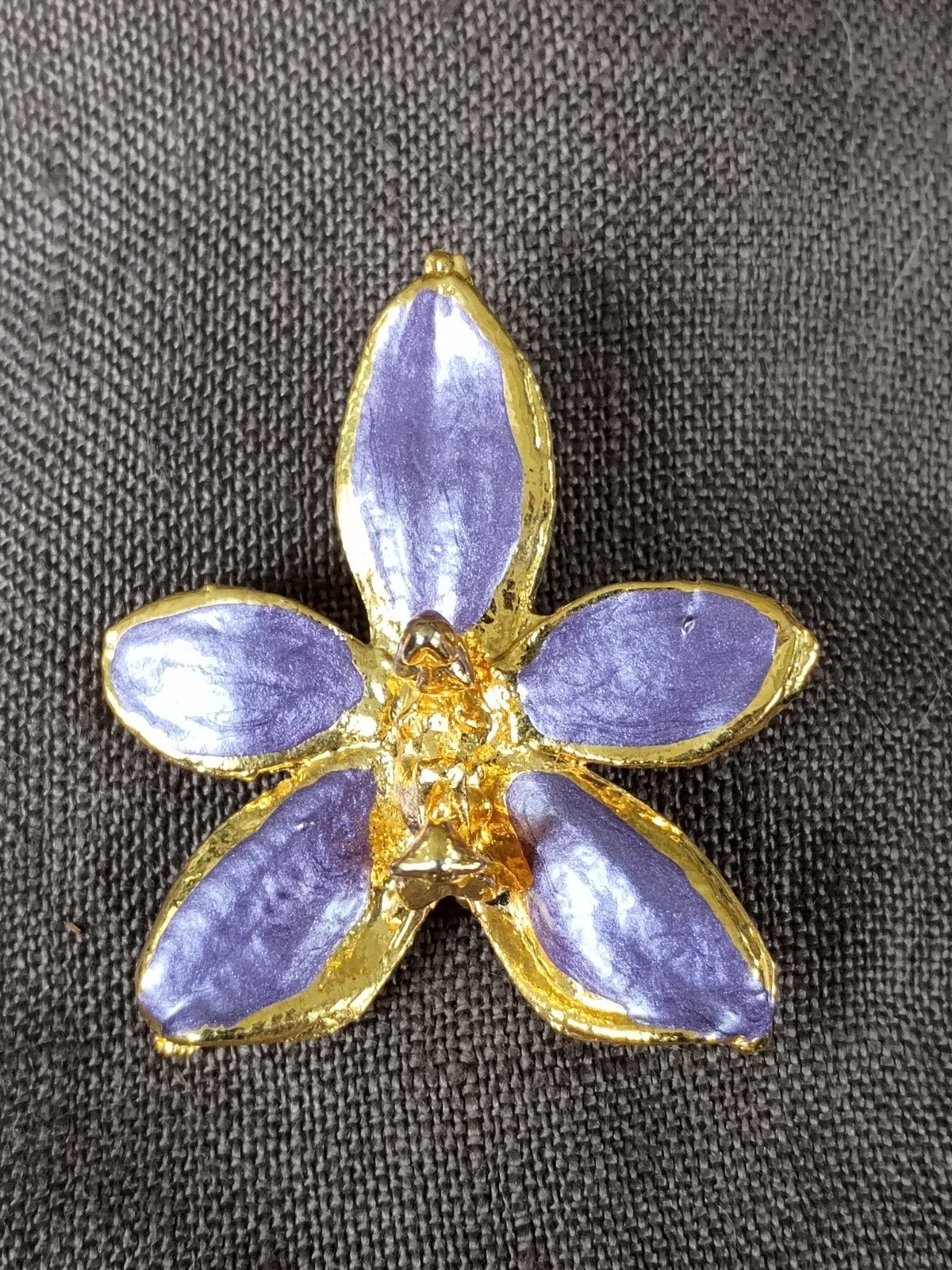 Broche en hanger in 1, Ophalen of Verzenden, Zo goed als nieuw, Overige materialen
