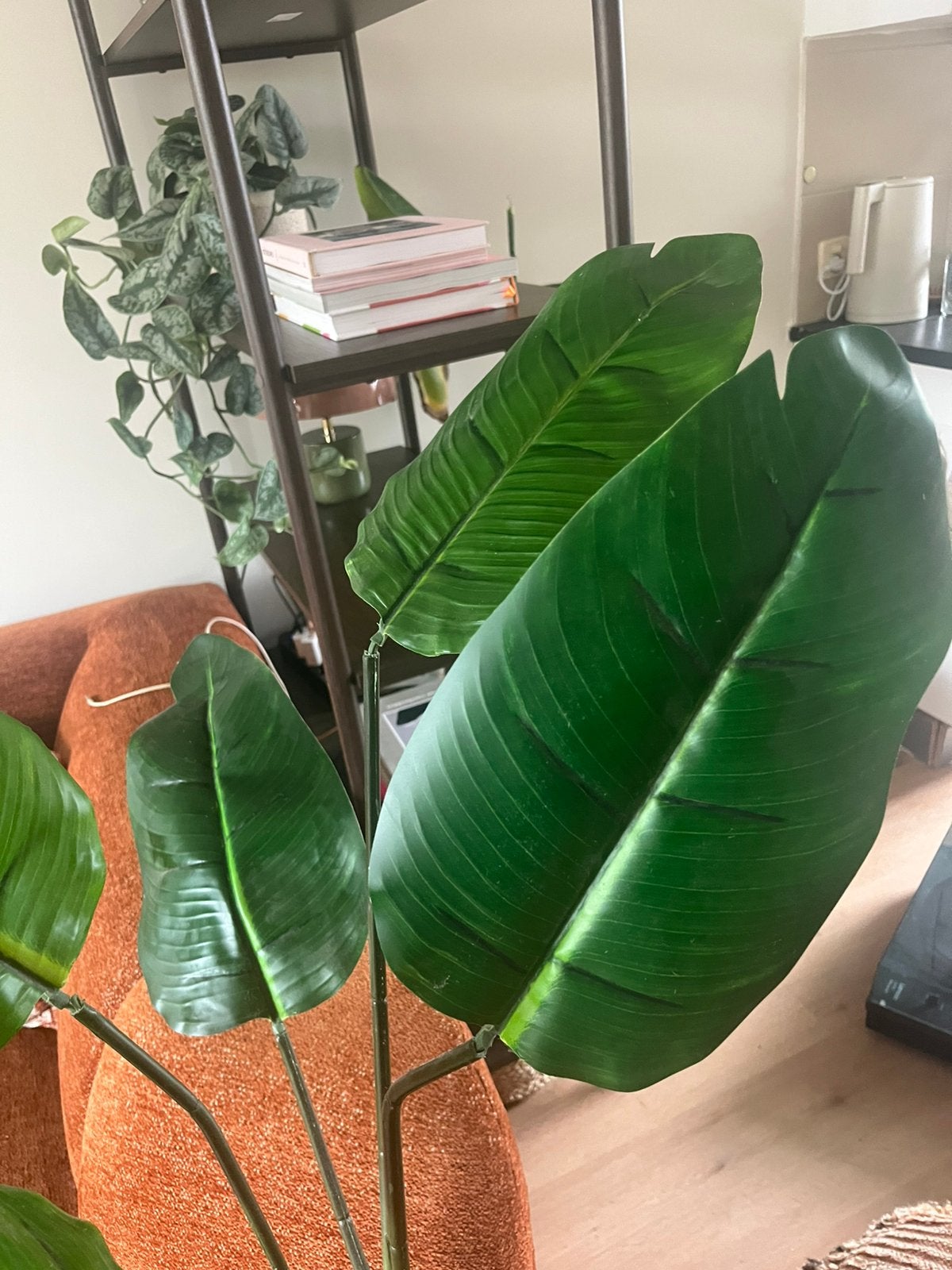 Kunst plant, Huis en Inrichting, Ophalen, Halfschaduw, Minder dan 100 cm
