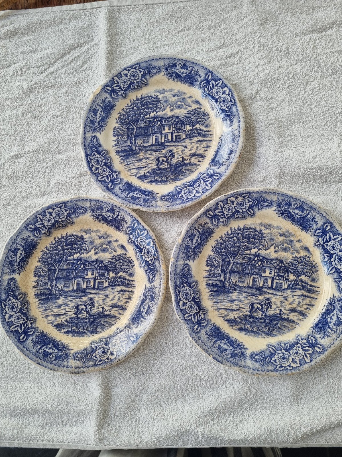 Oude Delfts Blauw uitziende borden met schade, Ophalen of Verzenden