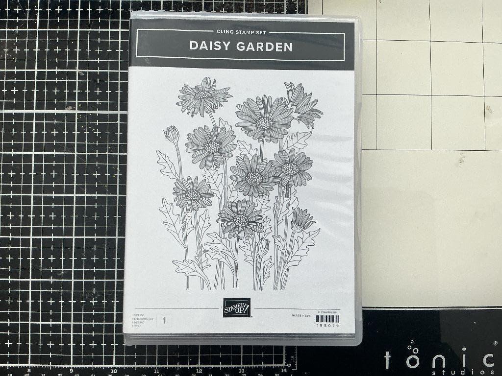 Stampin up, Hobby en Vrije tijd, Stempelen, Zo goed als nieuw, Overige typen, Ophalen of Verzenden