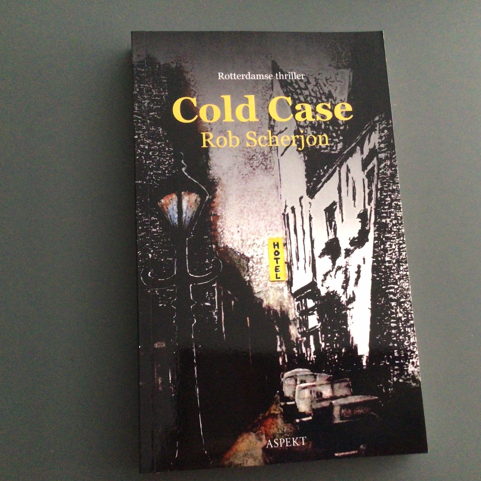 Rob Scherjon - Cold Case, Boeken, Ophalen of Verzenden, Zo goed als nieuw, Nederland, Rob Scherjon