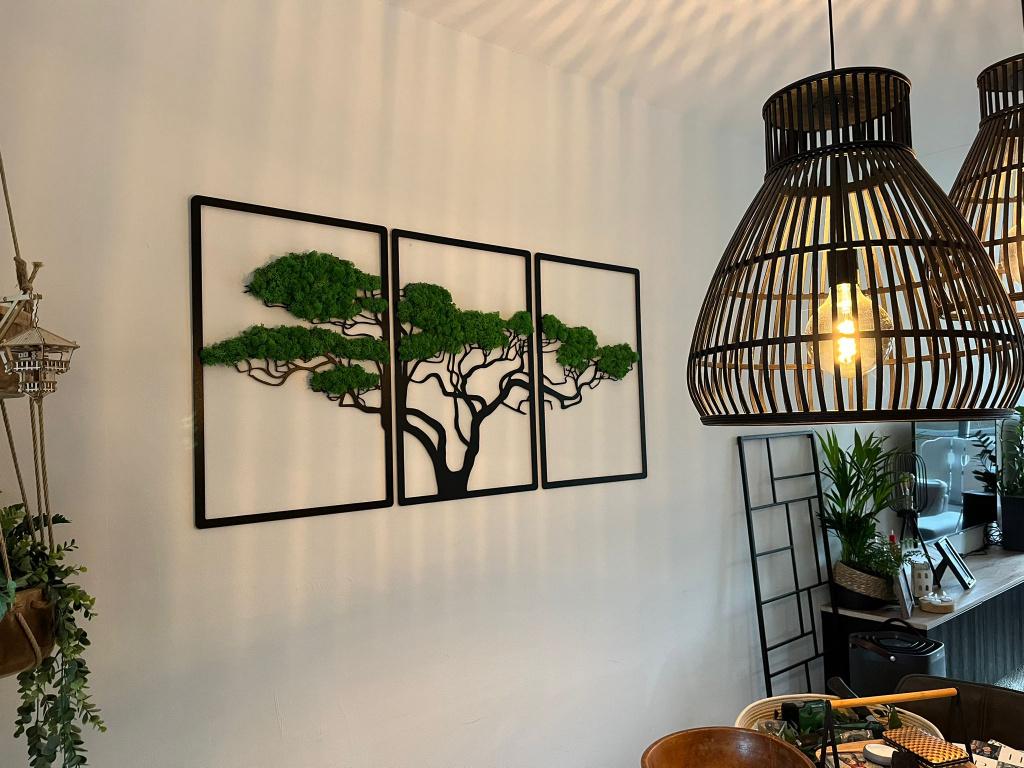 Mosschilderij Acacia - - Actie -15% met code KORT15, Huis en Inrichting, Groen, Nieuw, Ophalen of Verzenden, 5311EN