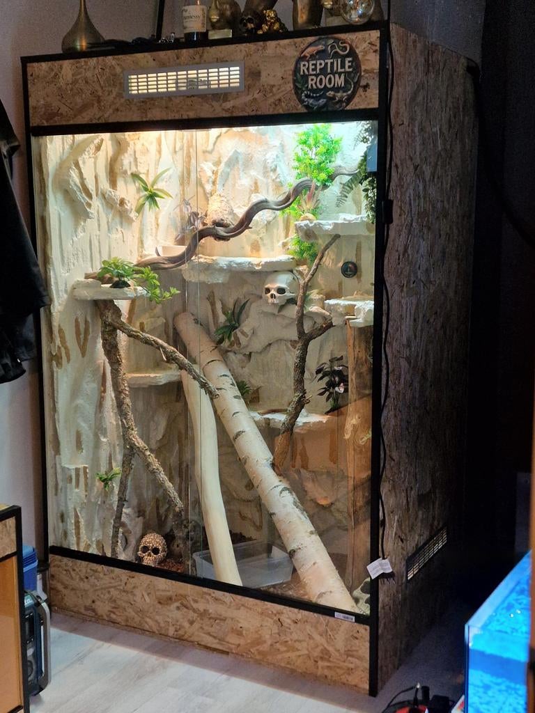 Terrarium OSB op maat – stevig, netjes, Dieren en Toebehoren, Ophalen of Verzenden, Nieuw
