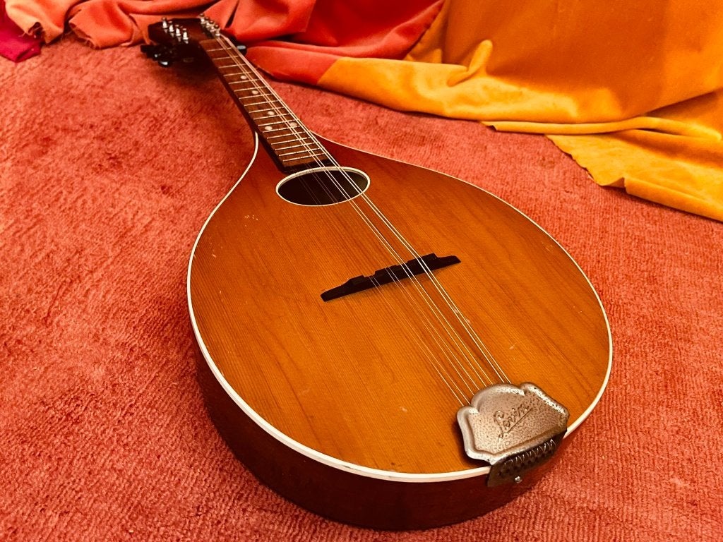 Linkshandige(!) Levin Model 158 1975 gereviseerd + koffer, Muziek en Instrumenten, Ophalen of Verzenden, Gebruikt