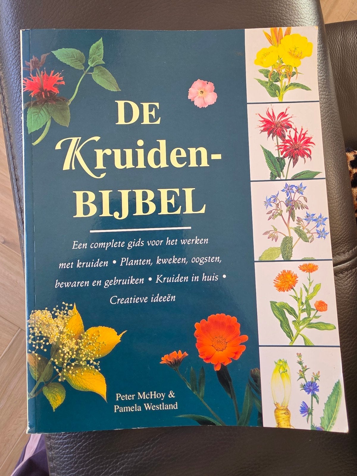 P. Westland - De Kruidenbijbel, Boeken, Ophalen of Verzenden, Zo goed als nieuw, P. Westland; P. MacHoy, Frankrijk