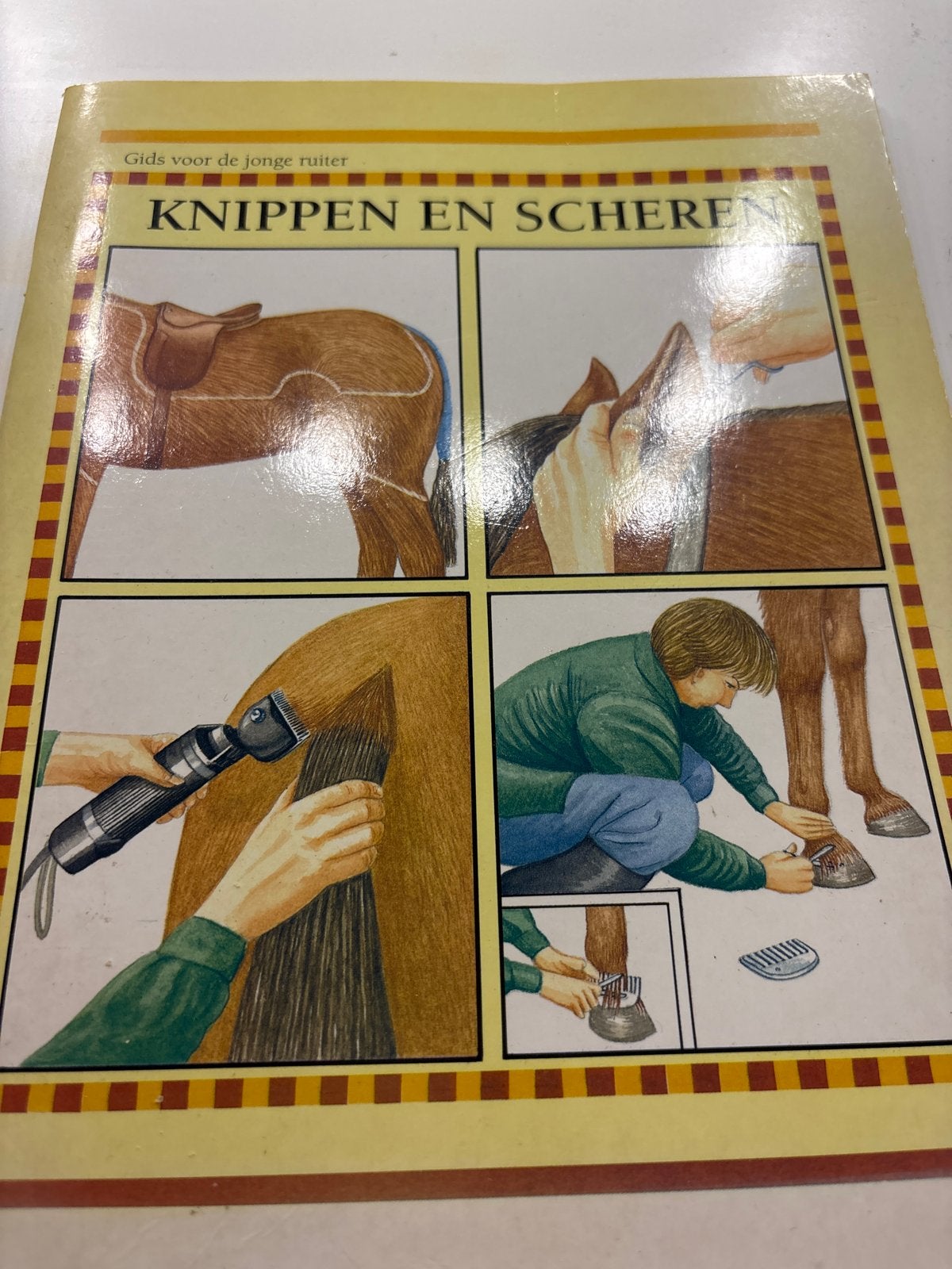Gids voor de jonge ruiter: Knippen en Scheren (Paarden), Ophalen of Verzenden, Gelezen, Paarden of Pony's