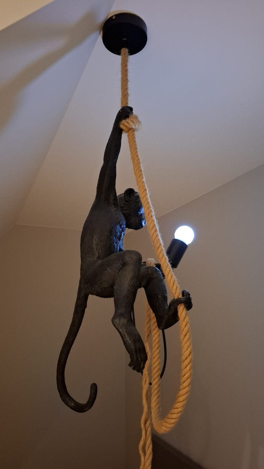 Mooie apenlamp, Ophalen