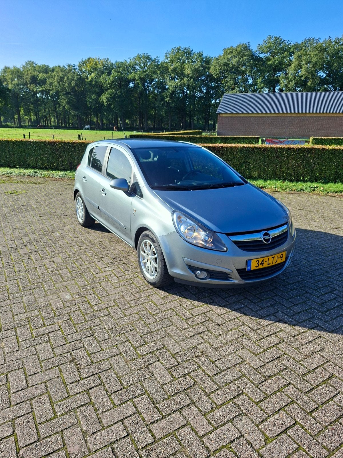 Opel Corsa 1.2 Twinport 85pk 5d 2010 Grijs, Voorwielaandrijving, 4 cilinders, 1229 cc, 49 €/maand