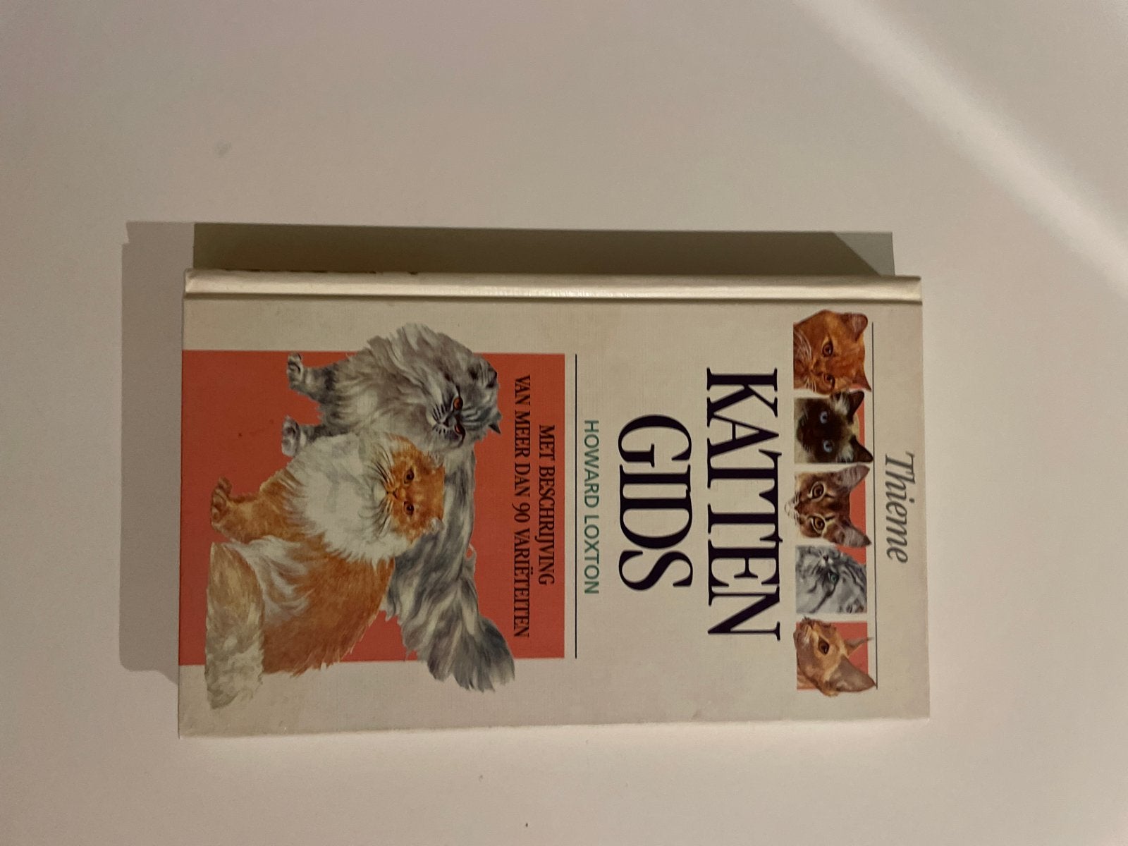 Kattengids Howard Loxton - Meer dan 90 kattenvariëteiten, Ophalen of Verzenden, Gelezen, Katten