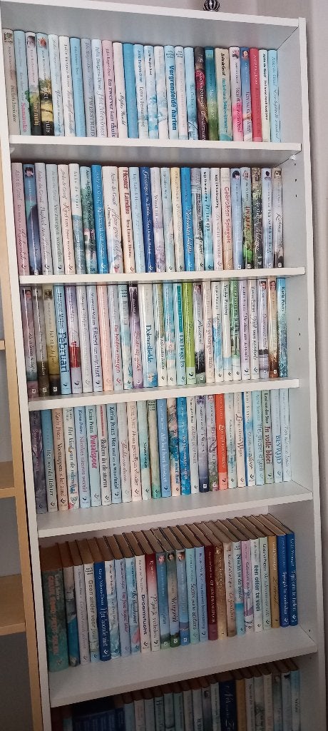 Heel veel streekromans, Boeken, Streekboeken en Streekromans, Ophalen, Gelezen