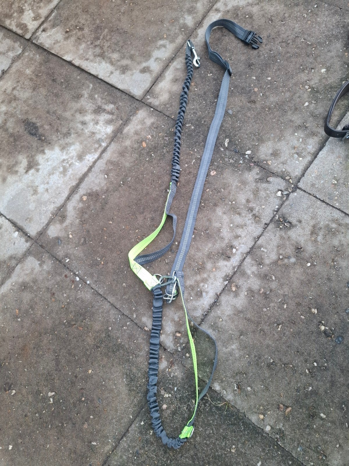 Honden hardloop riem, Ophalen, Zo goed als nieuw