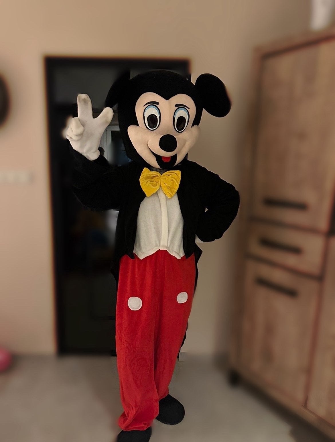 Mickey Mouse kostuum - Te koop, Ophalen, Film en tv, Gebruikt, Overige typen