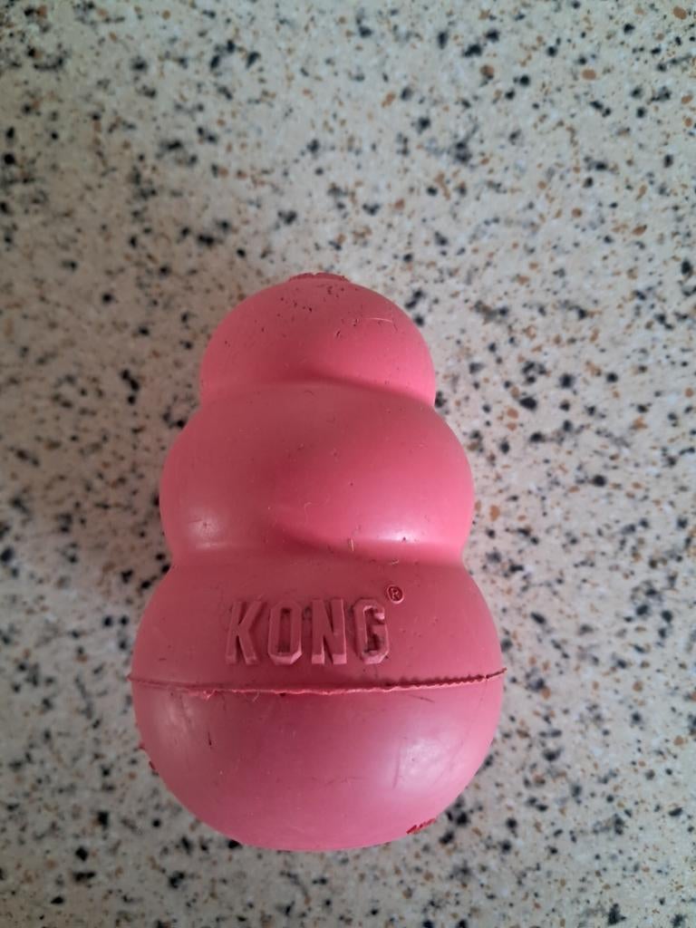Kong voor honden, Ophalen, Intelligentiespeelgoed
