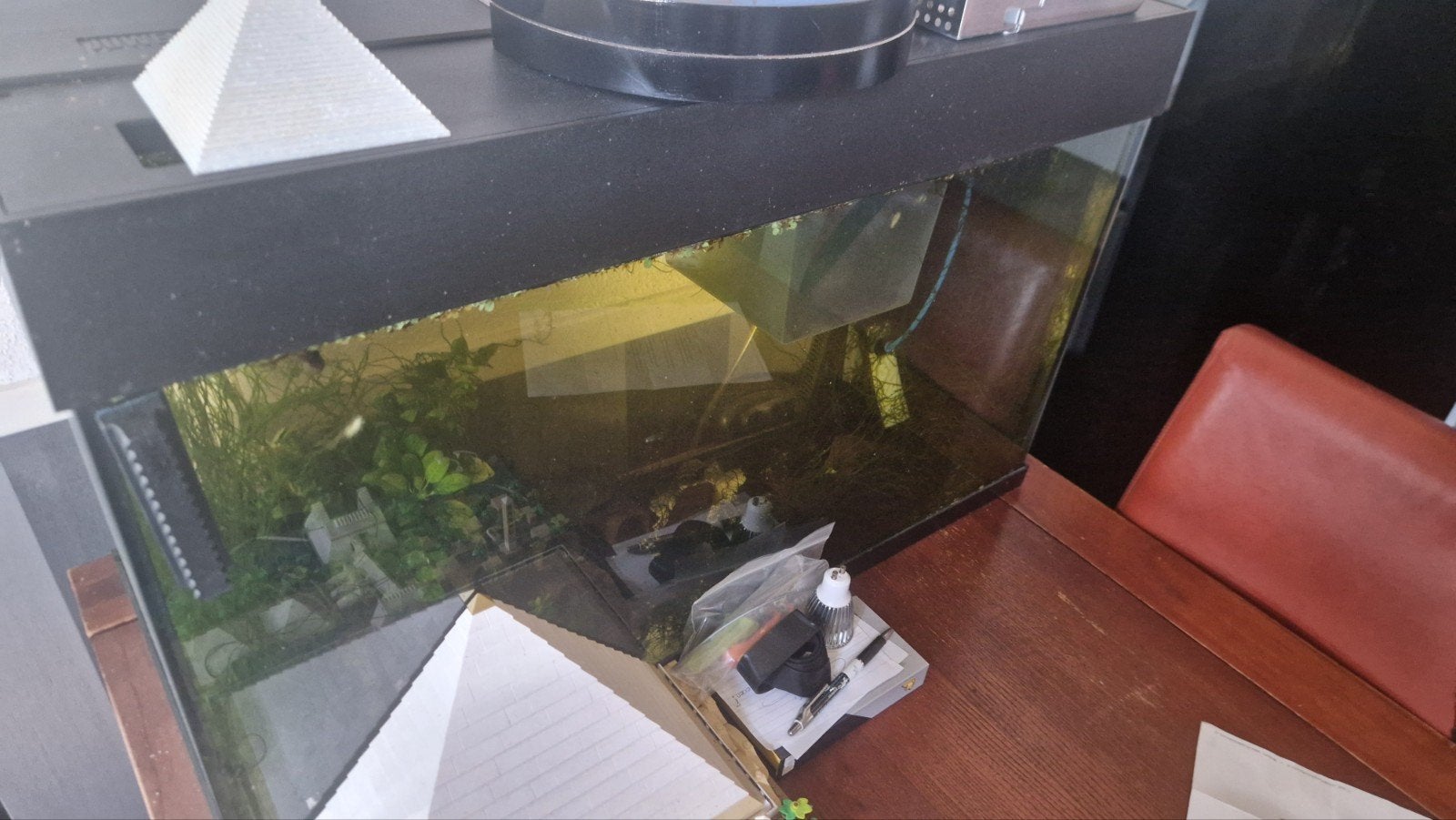 juwel Rio 125 LED, Dieren en Toebehoren, Ophalen, Zo goed als nieuw, Gevuld zoetwateraquarium, Juwel