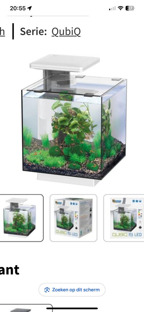 Aquarium, Ophalen of Verzenden, Zo goed als nieuw, Leeg aquarium