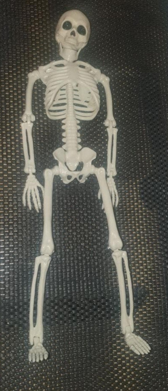 skelet is perfect voor Halloween decoratie, Ophalen of Verzenden, Nieuw