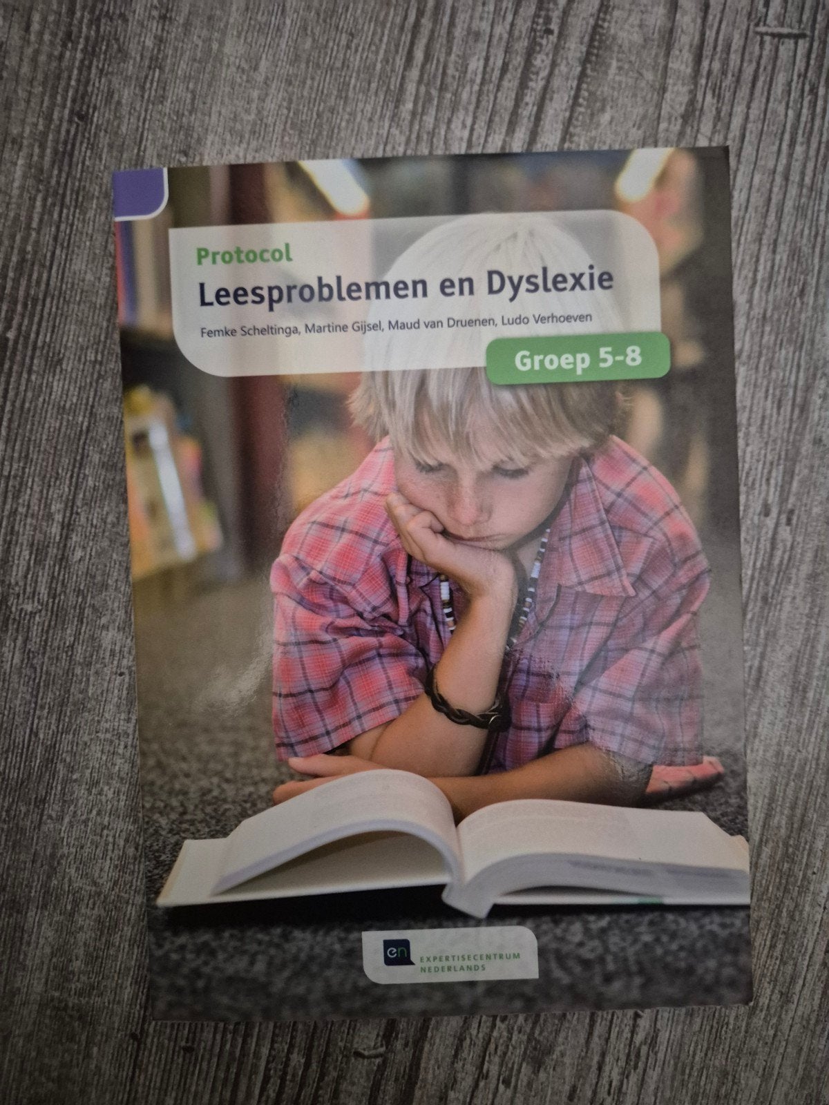 Protocol Leesproblemen en Dyslexie Groep 5-8, Ophalen of Verzenden, Zo goed als nieuw, Femke Scheltinga, Nederlands