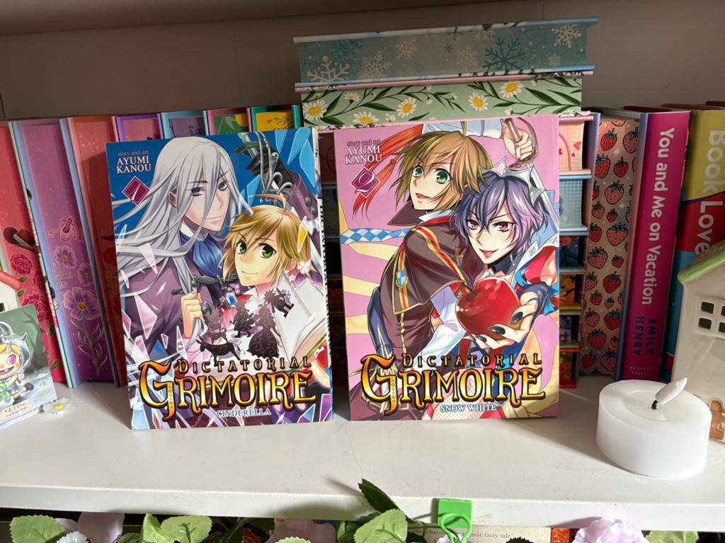 dictatorial grimoire manga, Eén stripboek, Ophalen of Verzenden, Zo goed als nieuw