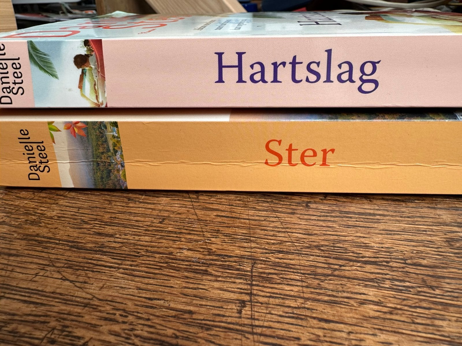 Danielle Steel: 2 titels, Boeken, Ophalen of Verzenden, Zo goed als nieuw