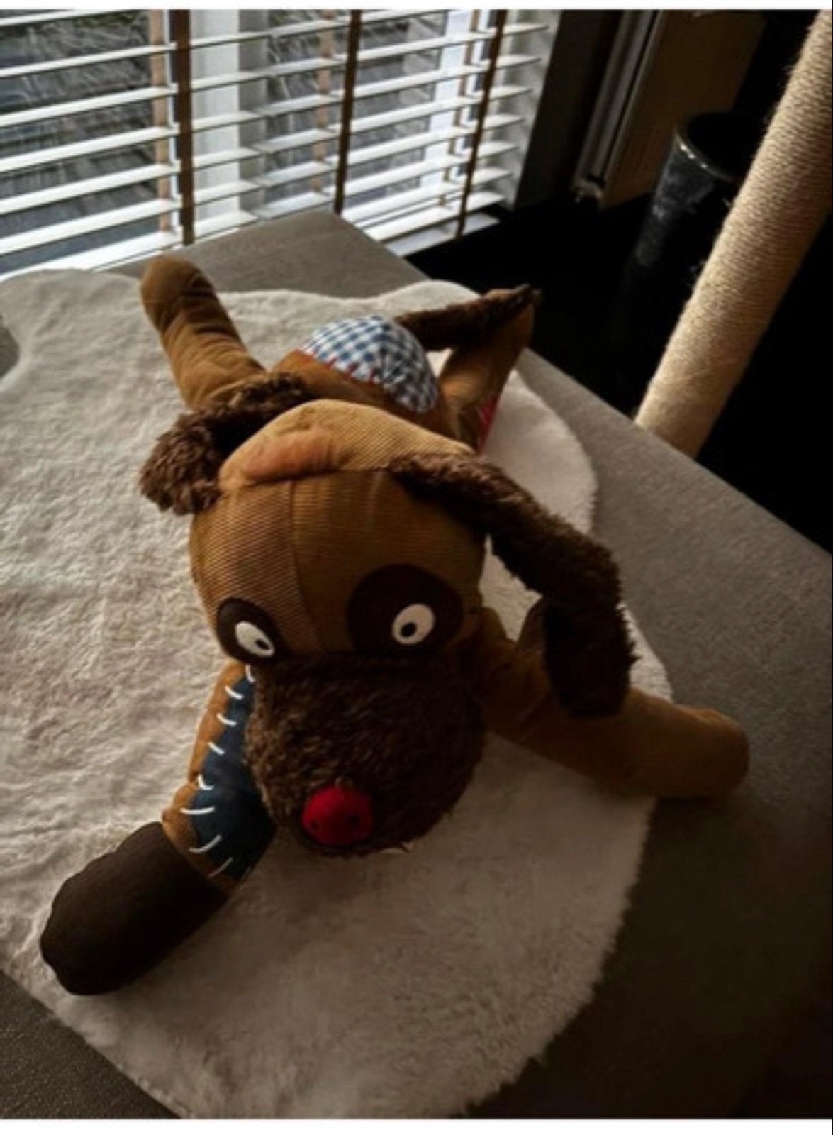 Lief! Hond knuffel - nieuw!, Overige merken, Overige karakters, Middelgroot (20 tot 80 cm), Bruin