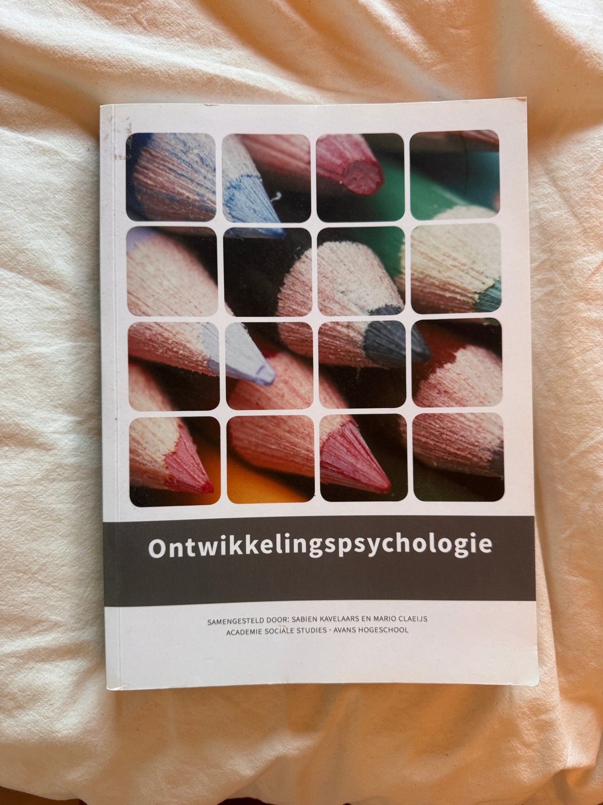 Ontwikkelingspsychologie - Studieboek, Ophalen of Verzenden, Zo goed als nieuw, Ontwikkelingspsychologie