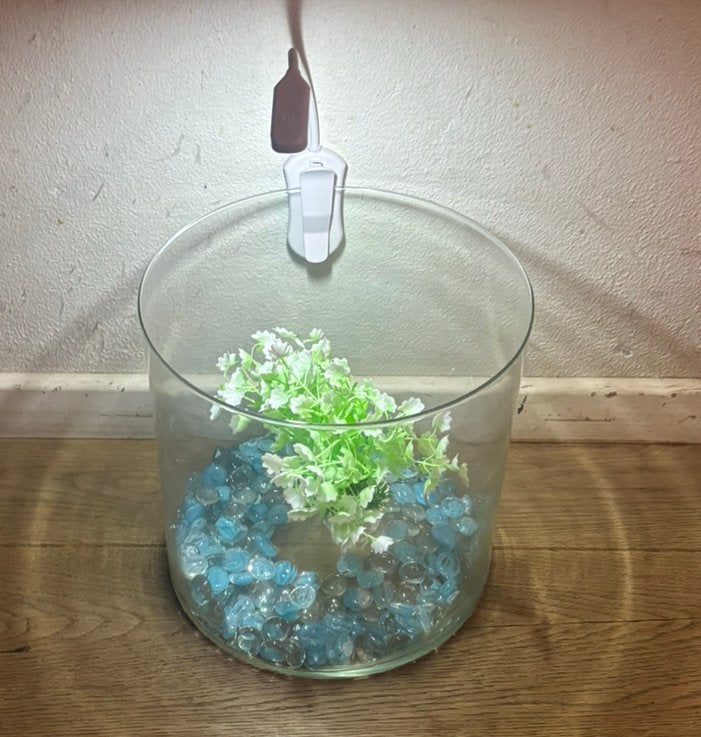Leuke vissenkom / aquarium LED met steentjes en plant 15€, Ophalen of Verzenden, Zo goed als nieuw, Leeg aquarium