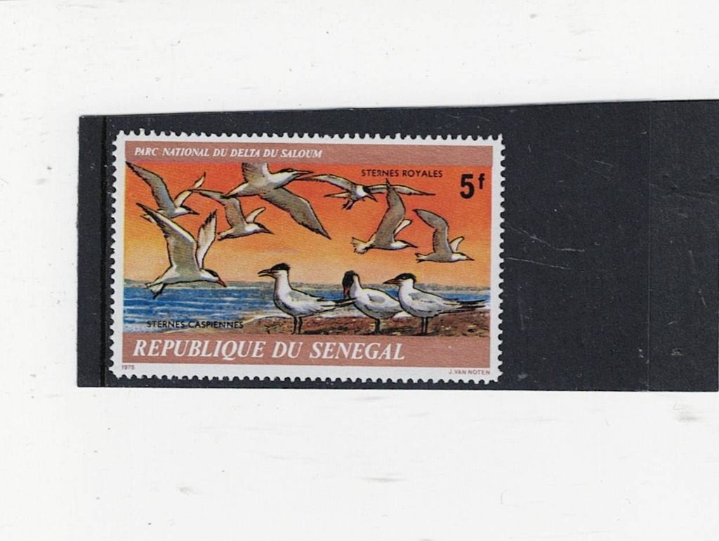 vogel Senegal, Ophalen of Verzenden, Postfris, Dier of Natuur