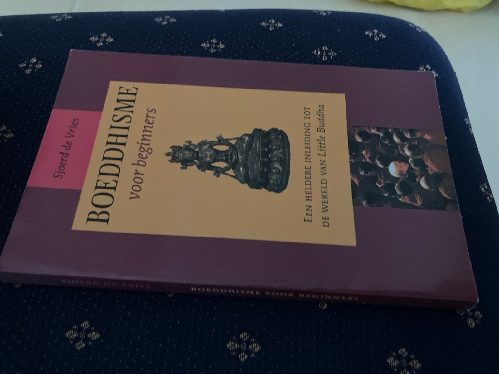 Boeddhisme voor beginners - Sjoerd de Vries, Ophalen of Verzenden, Zo goed als nieuw, Spiritualiteit algemeen, Achtergrond en Informatie